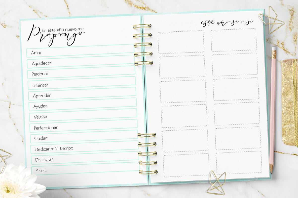 Agenda 2027 Minimalist Mint Planner Diaria