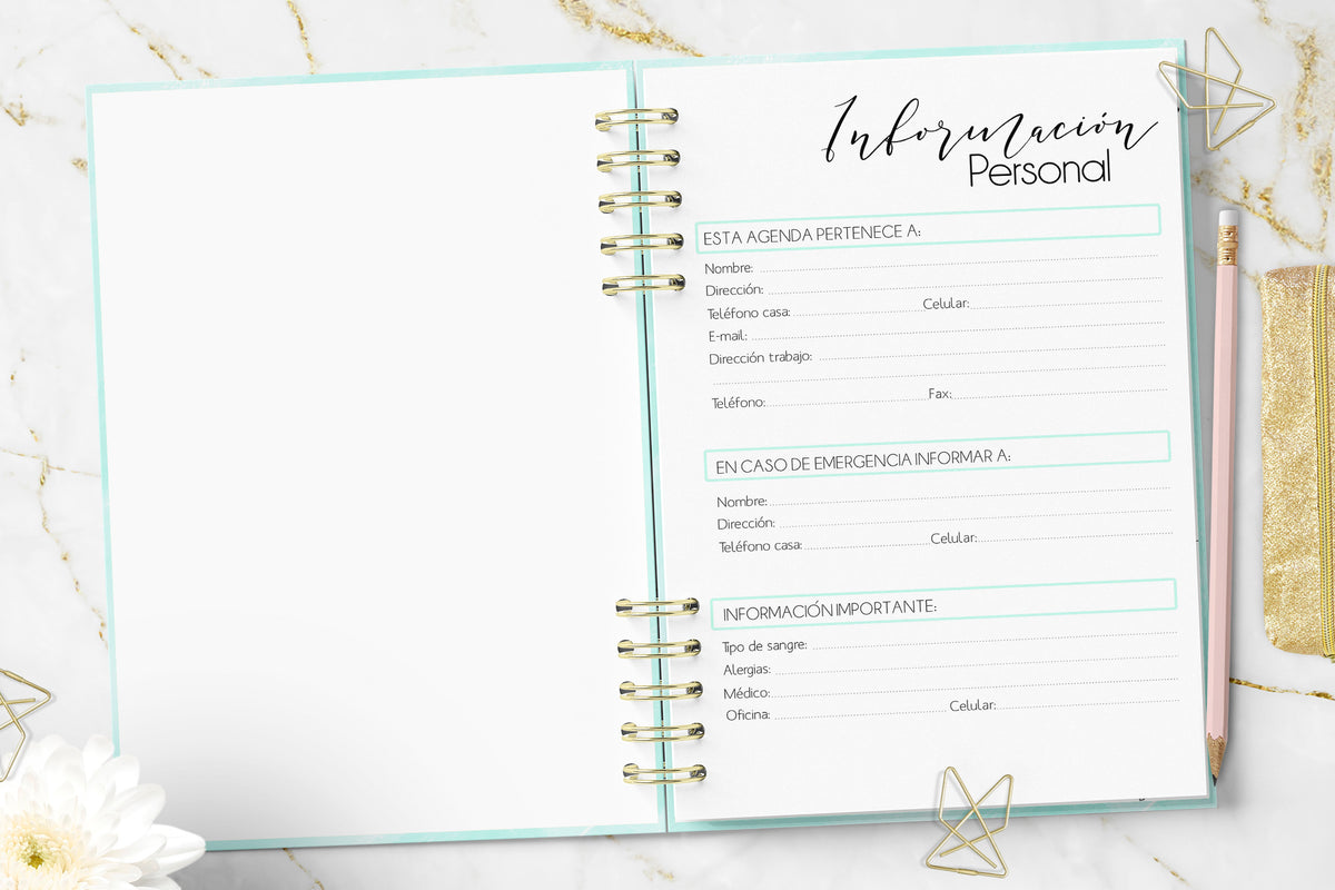 Agenda 2027 Minimalist Mint Diaria Rayada