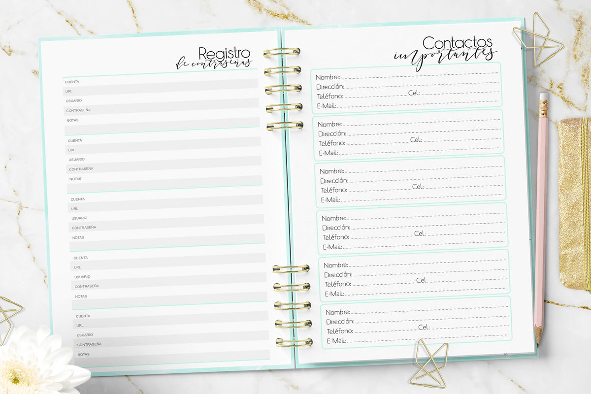 Agenda 2027 Minimalist Mint Diaria Rayada