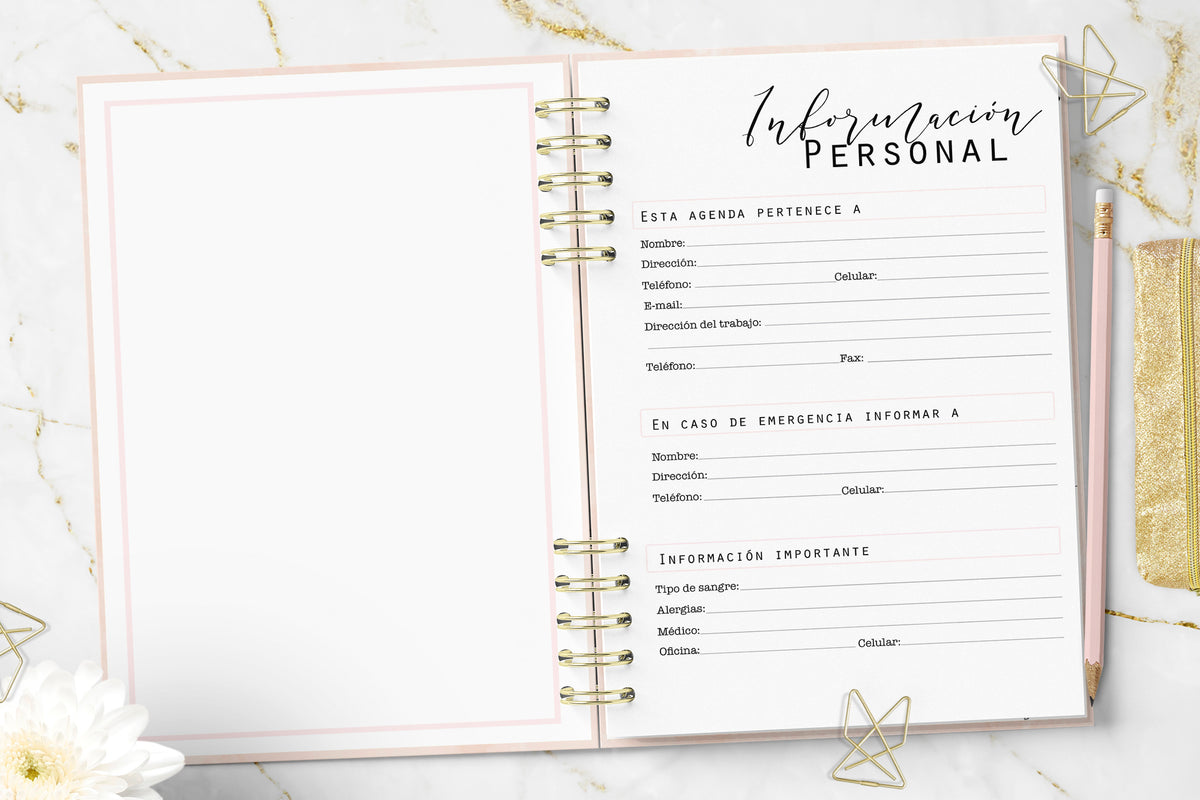 Agenda 2027 Minimalist Pink Diaria Rayada