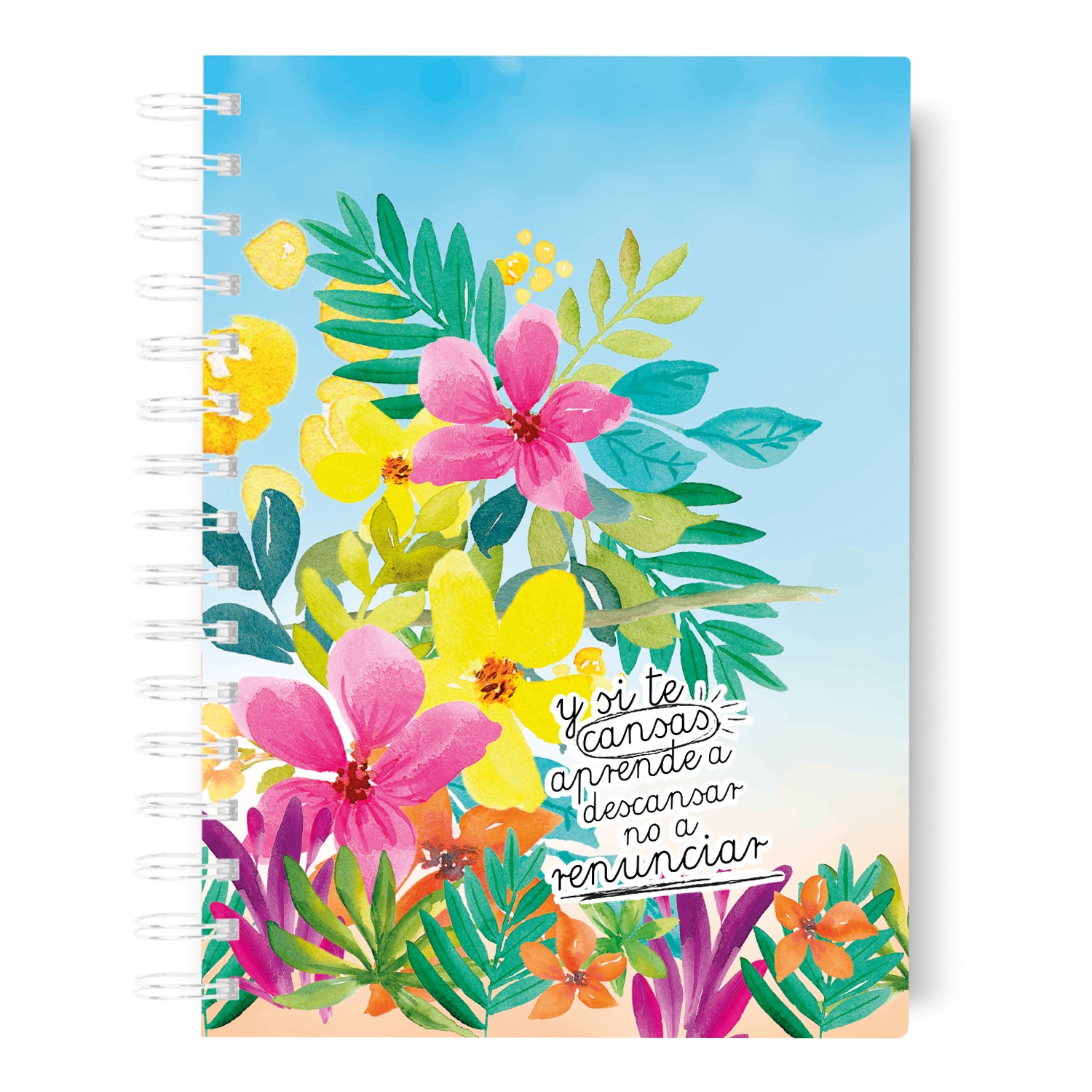 Agenda 2026 Caribe Tropical Diaria