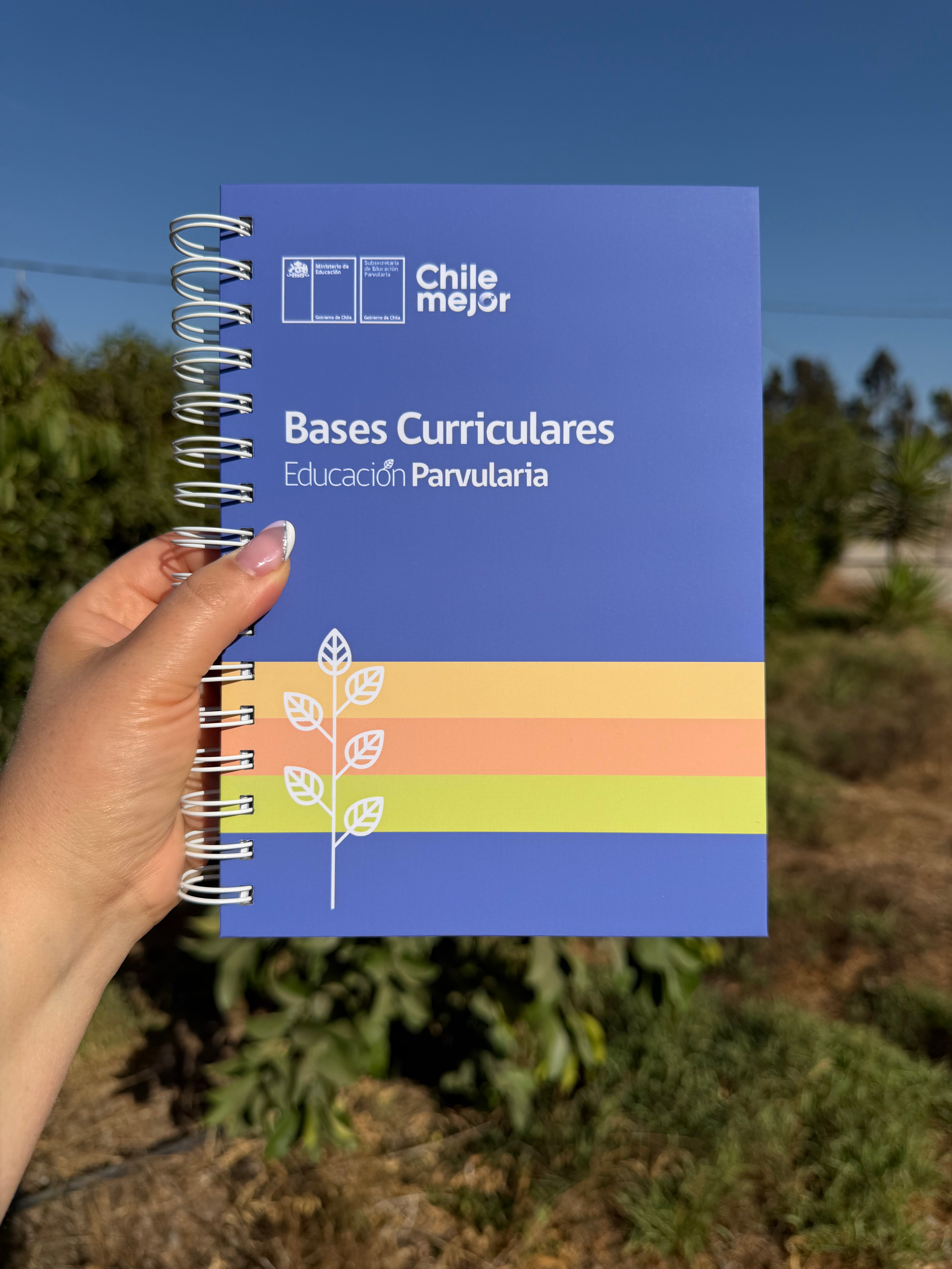 Bases Curriculares Educación Parvularia