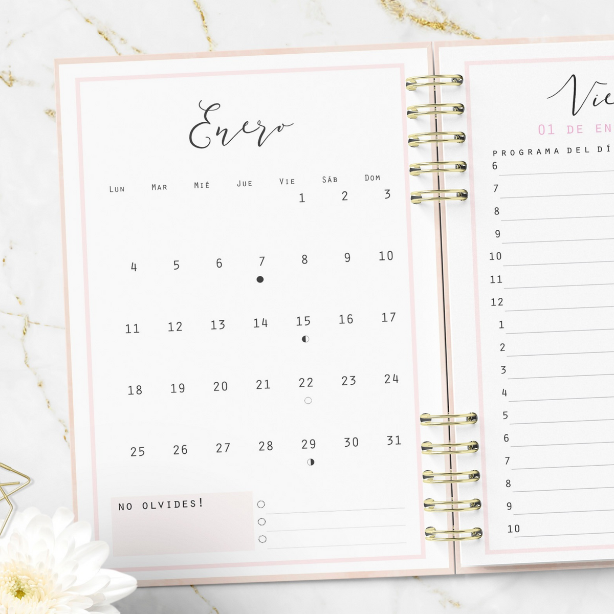 Agenda 2027 Minimalist Pink Planeación Diaria