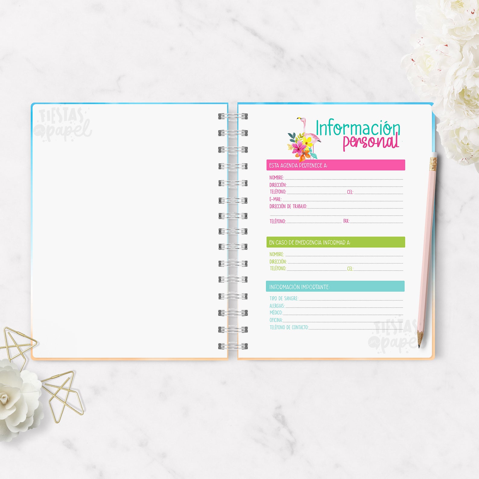 Agenda 2026 Caribe Tropical Diaria