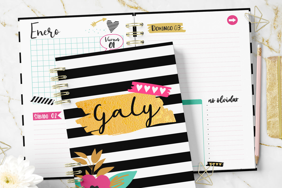Agenda 2027 Chic Planner
