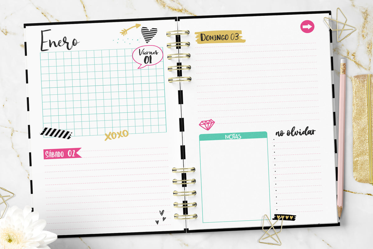 Agenda 2027 Chic Planner