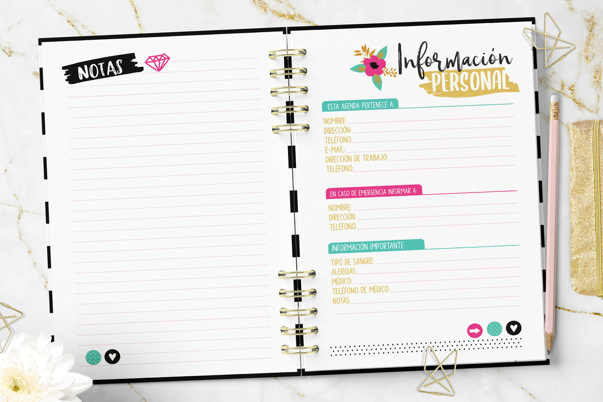 Agenda 2027 Chic Planner