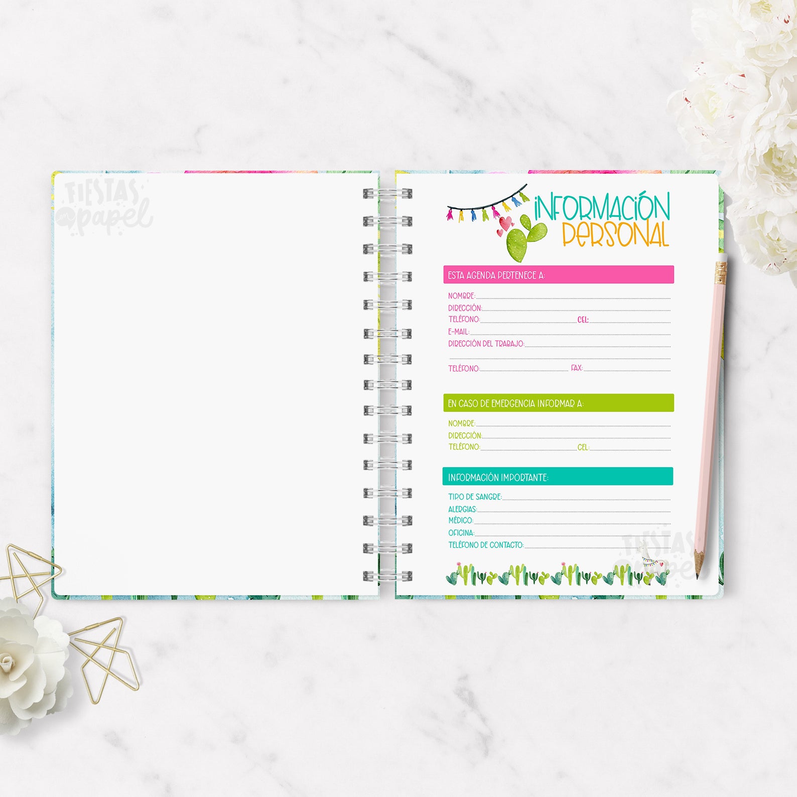 Agenda 2026 Llama Diaria