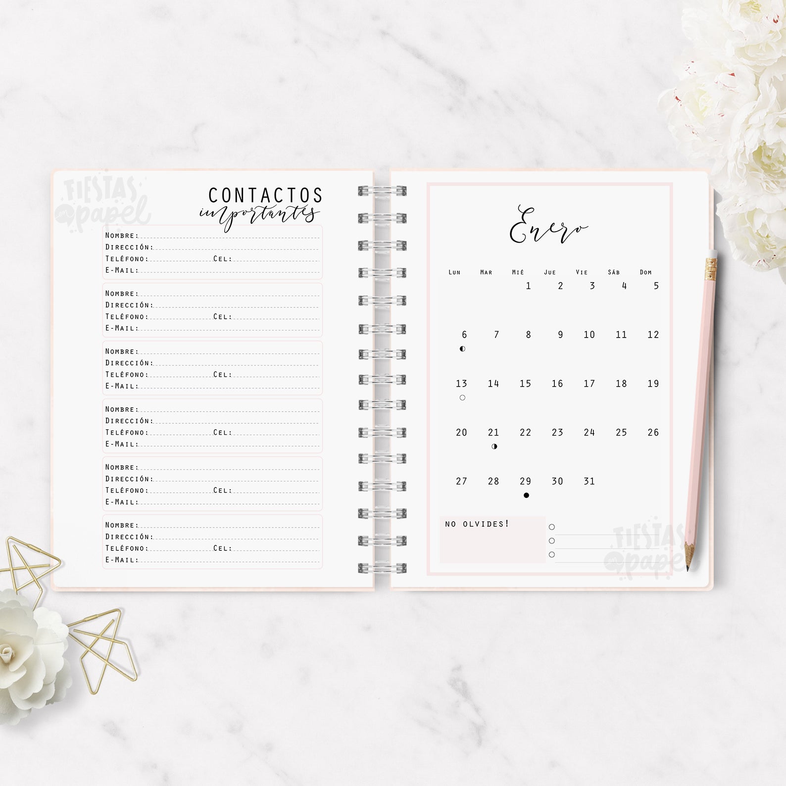 Agenda 2026 Minimalist Pink Diaria