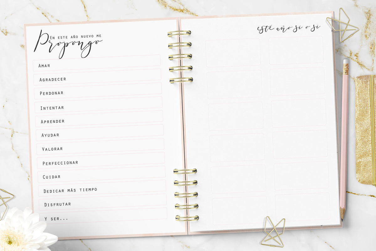 Agenda 2027 Minimalist Pink Planner Diaria